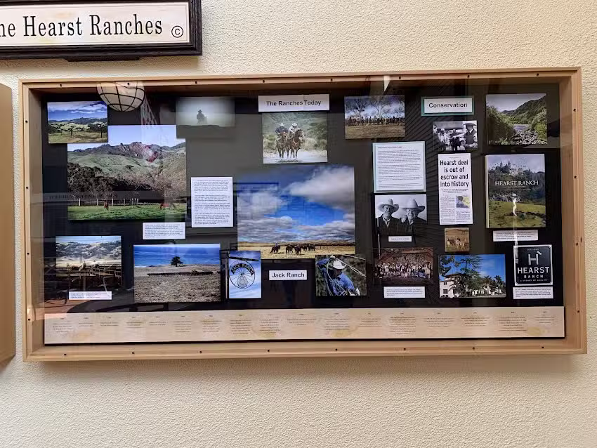 Yellowstone Wilderness Outfitters