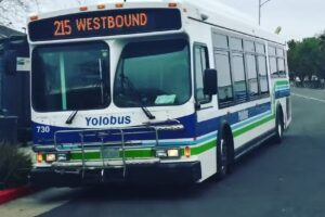 Yolo Bus