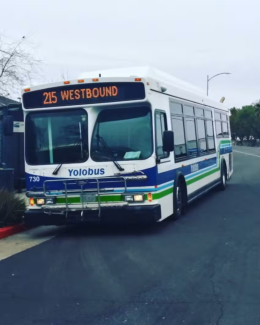 Yolo Bus