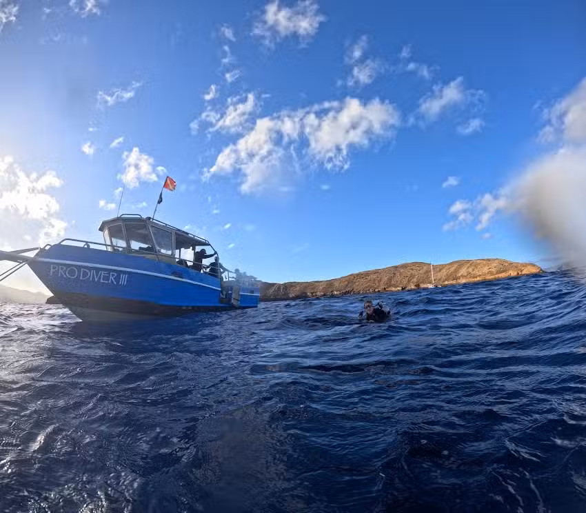 Yonegan Pro-Diver Maui