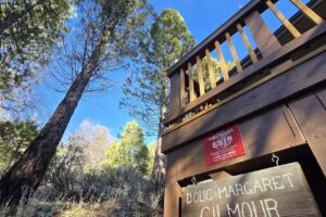 Yosemite Mountain Lodge