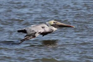 Your Next Adventure Travel ATLANTA