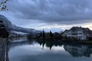 Your Travel Organizer LLC