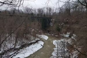 Your Travel Professional