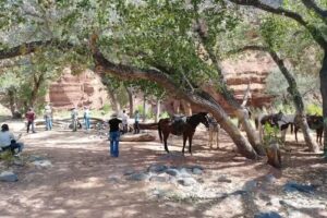 Zion Canyon Trail Ride at Jacobs Ranch
