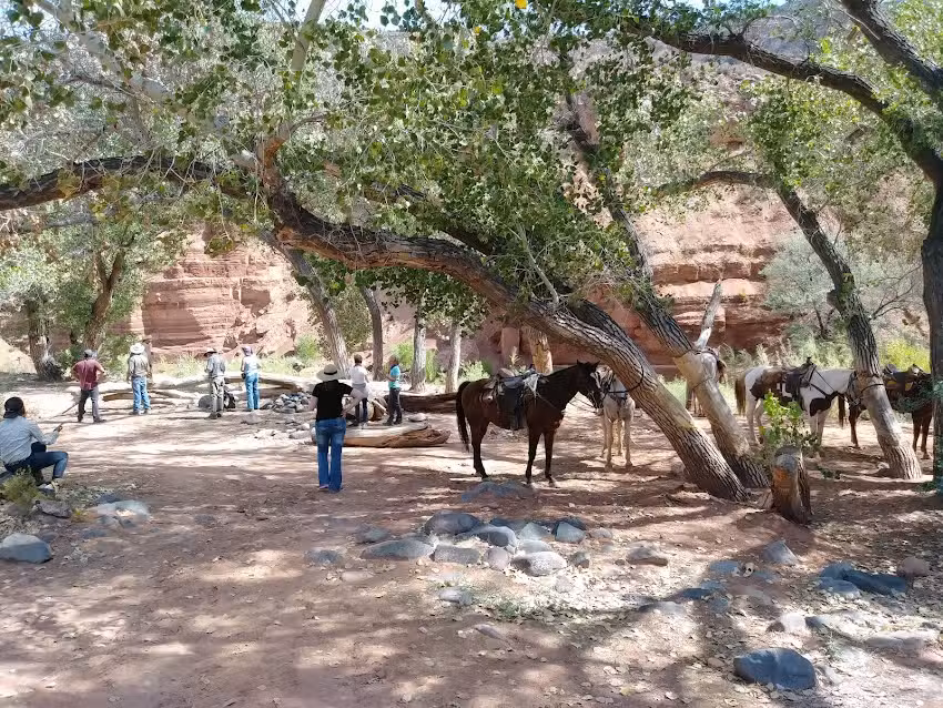 Zion Canyon Trail Ride at Jacobs Ranch