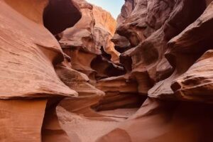 Zion Guru – Narrows, eBikes & Tours